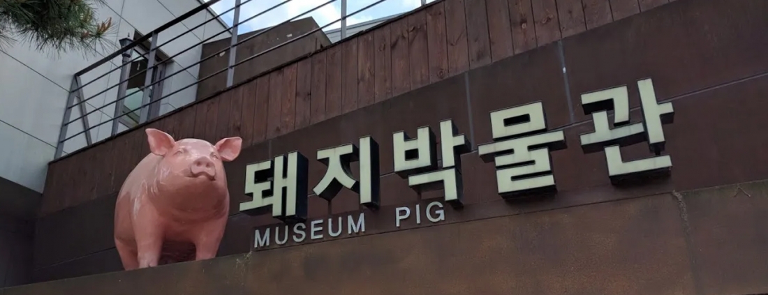 小猪博物馆